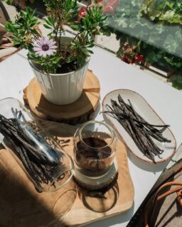 Kromě hlavních jídel by na správném foodfestu neměli chybět ani drobné mňamky a hlavně nějaké sladké tečky.😋 
Život vám osladí například @dzemytreperendy  s jejich minilívanci a džemy🥞, můžete se těšit také na palačinky mimo jiné od @gardeccrepes , bude také Thajská rolovaná zmrzlina nebo řemeslné koblihy od @koblihabrno .🍩 Sladkou partu doplní také makronky od @judyth_sweet_art  a za pravou vanilkou se můžete vydat do stánku @calderaspices .♥️
A pokud jste víc na slané, než na sladké, můžete navštívit například stánek @pastiky.rasovska, @jimmys_food_brno a jejich sušené maso nebo spicy stánek @chillimaga .🔥 A vás, co se na festival chystáte užít si Itálii, jistě potěší stánek @testovinyprogurmany , kde vás bude čekat i malá ochutnávka.🤌🏻
A bude toho ještě víc - stánek s microgreens🌱 od @zelinar.eu , koláče, báleše, patenty, kremrole, škvarkové tyčinky... nám už se sbíhají sliny, jen o tom píšeme! 🤤
A co vy, pro co si v sobotu do Kyjova přijdete? 👀
#festivalplnychuti #fpch2026 #foodfest #kyjov